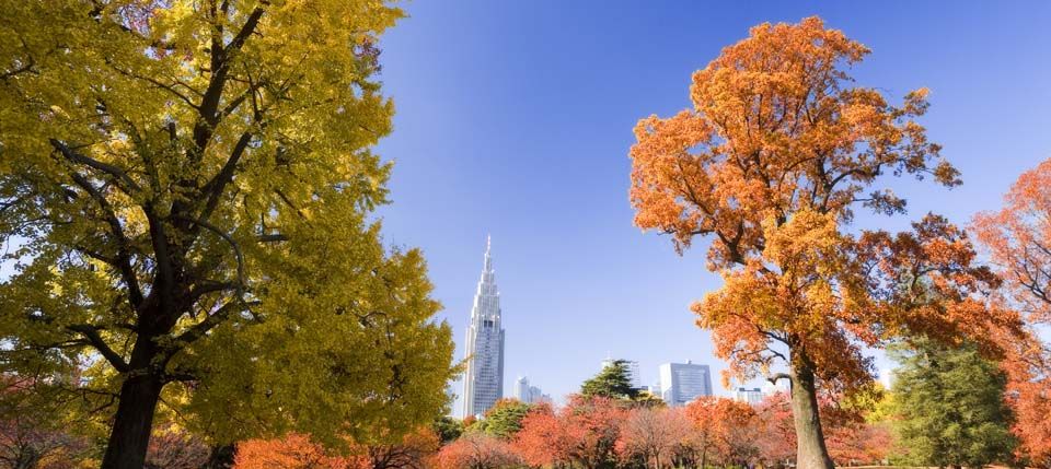 新宿御苑